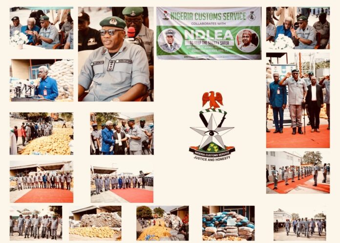 F64758E2-F011-43DA-883E-13B168D599F5