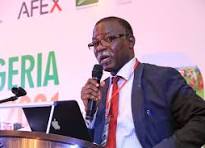 FIF Founder -Professor Ayoola Gbolagade 2