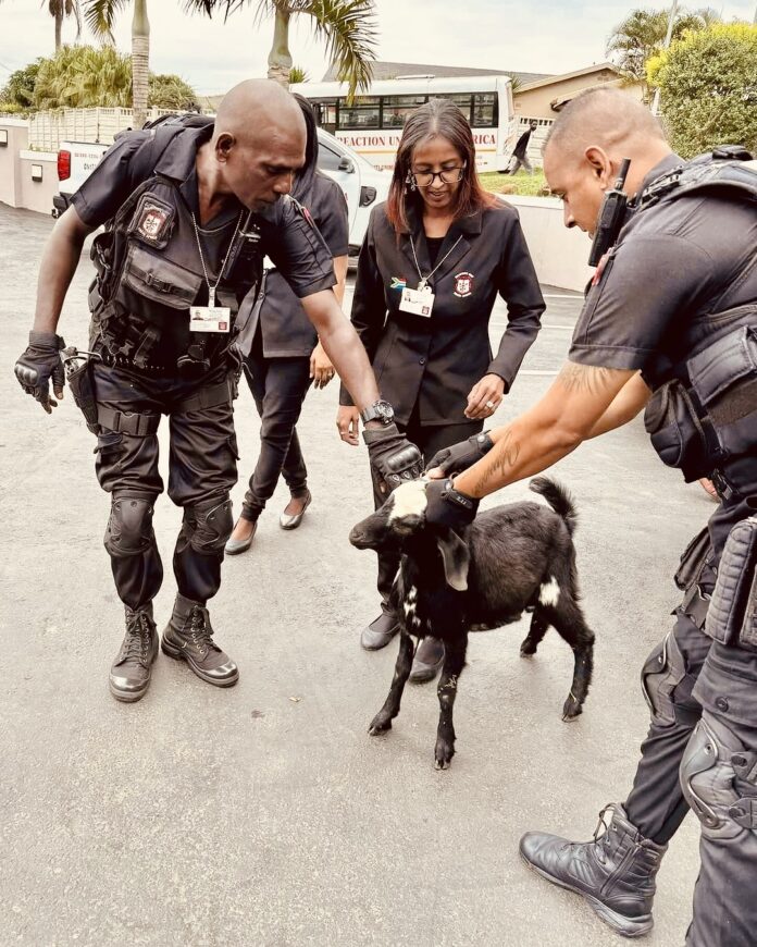 490DB1BB-EE63-4BB8-B19C-6E3098FF5F2D