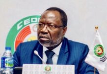 Insecurity, democracy crises derailing regional integration — ECOWAS President
