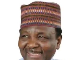 Group takes swipe at people spreading fake news of Gowon’s death