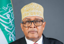 Somaliland ‘ll not be dragged into Somalia’s failure — Presidency